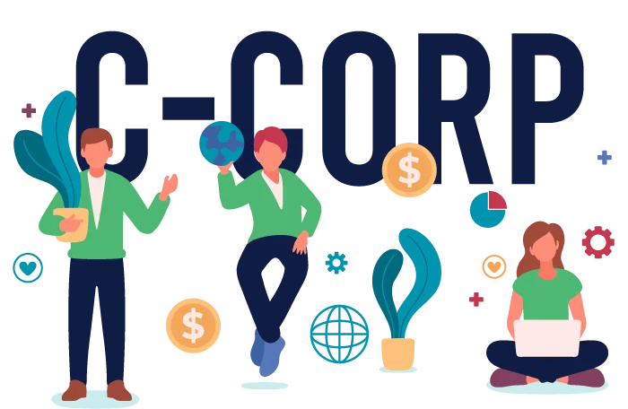 C Corporation
